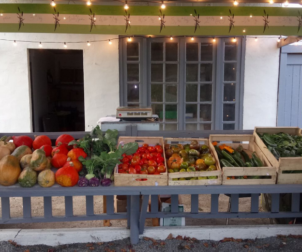 Vente directe de fruits & légumes Bio à la boutique de la ferme Goût des Sasons à Bourges (18)