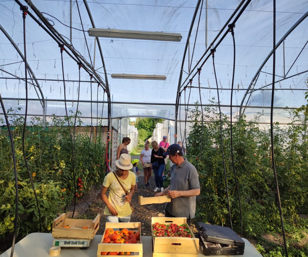 Ventre des produits Bio de la ferle Le Goût des Saisons, à Bourges, dans le Cher (18)